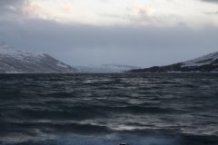 Polarlichter_Tromso_Norwegen_2011_-_27368
